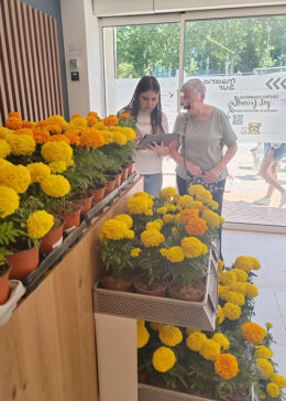 madrid-sur-dia-del-medio-ambiente-2024